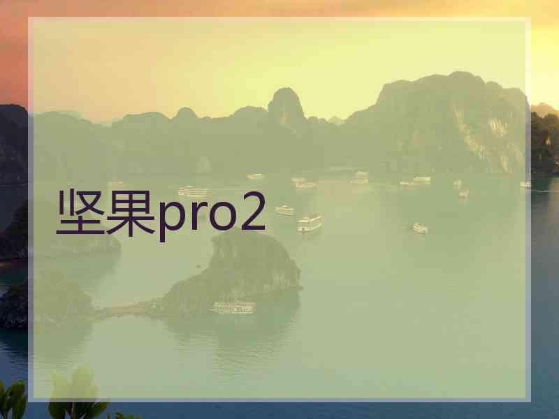 坚果pro2