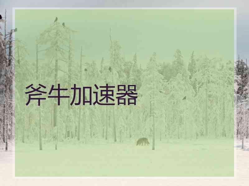 斧牛加速器