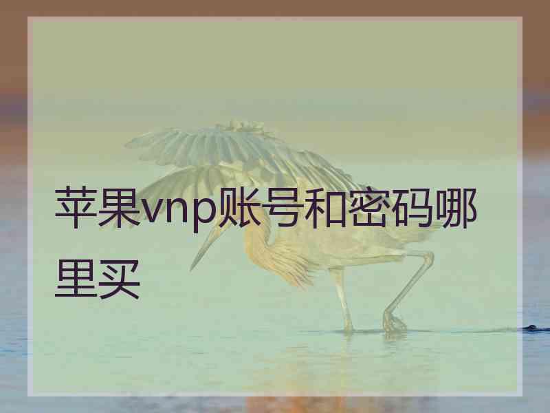 苹果vnp账号和密码哪里买