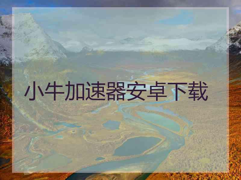 小牛加速器安卓下载