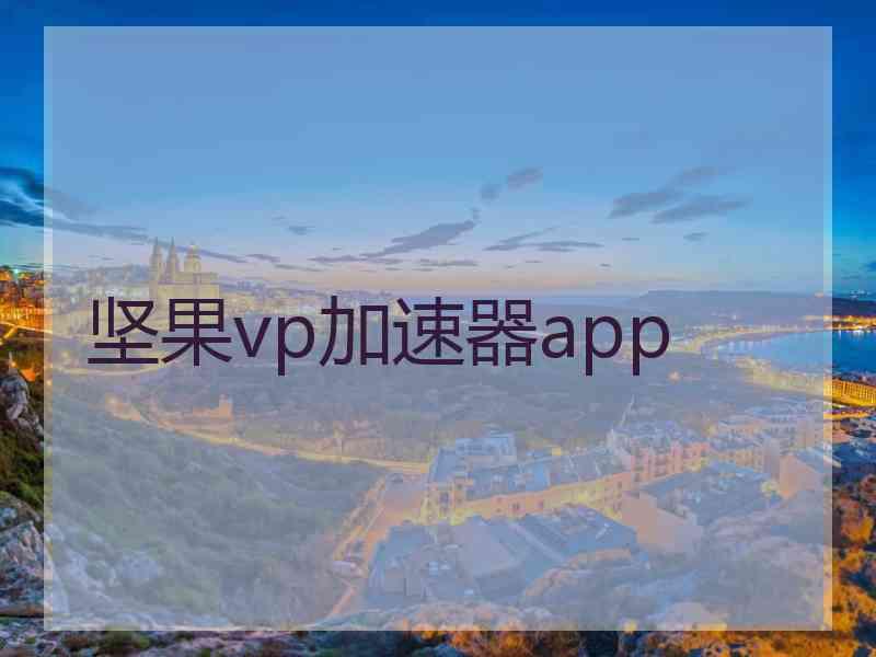 坚果vp加速器app