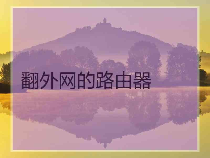翻外网的路由器