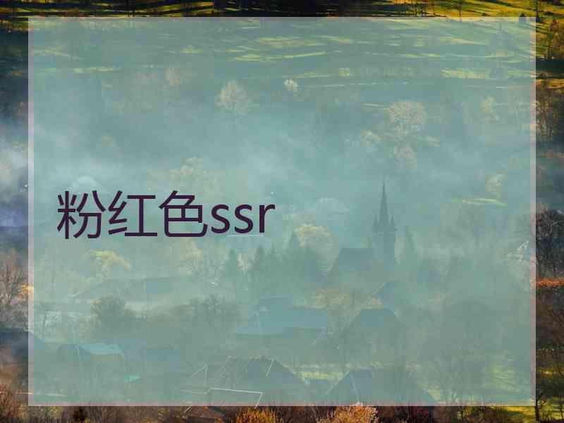 粉红色ssr