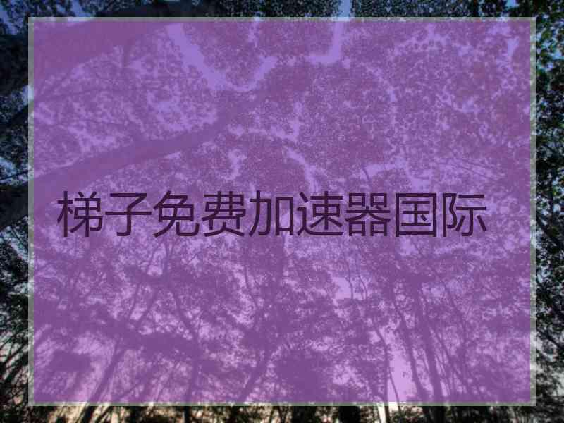 梯子免费加速器国际
