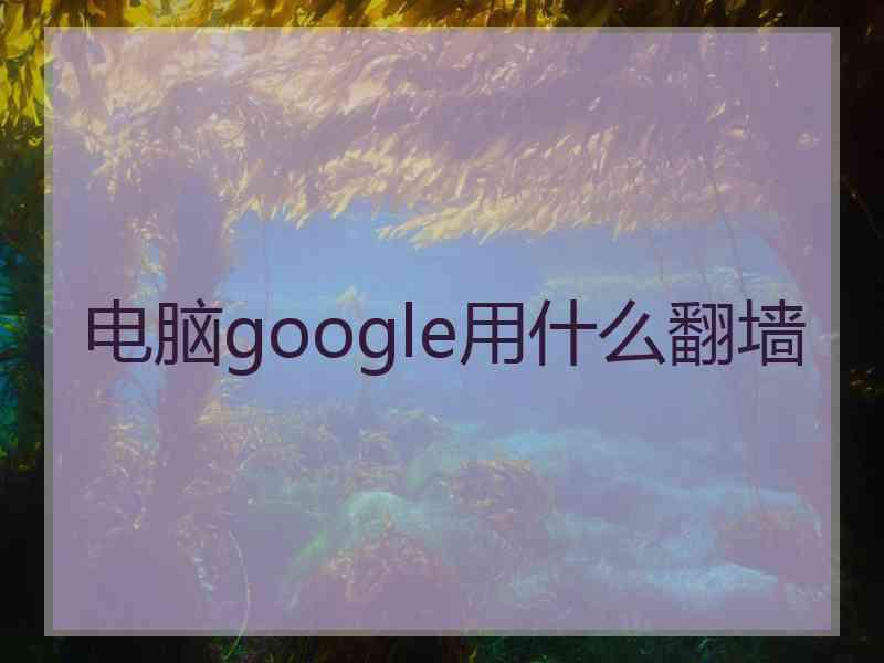 电脑google用什么翻墙