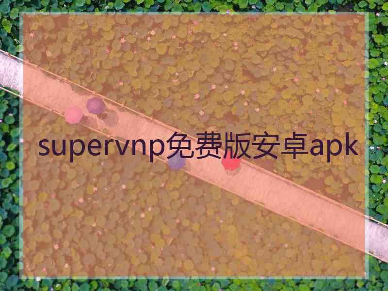 supervnp免费版安卓apk