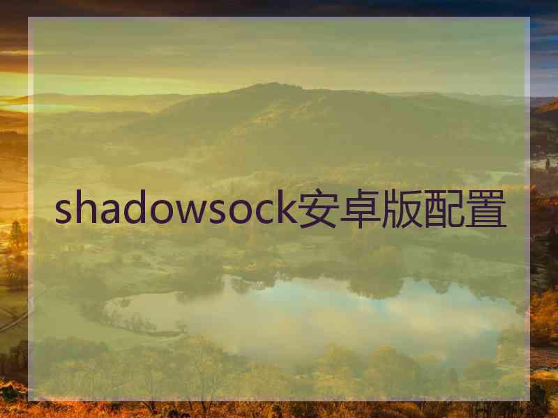 shadowsock安卓版配置