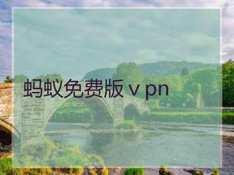 蚂蚁免费版ⅴpn