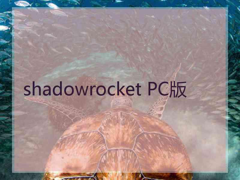shadowrocket PC版