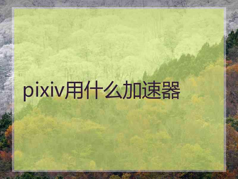pixiv用什么加速器
