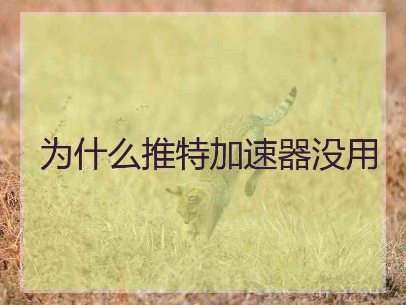 为什么推特加速器没用