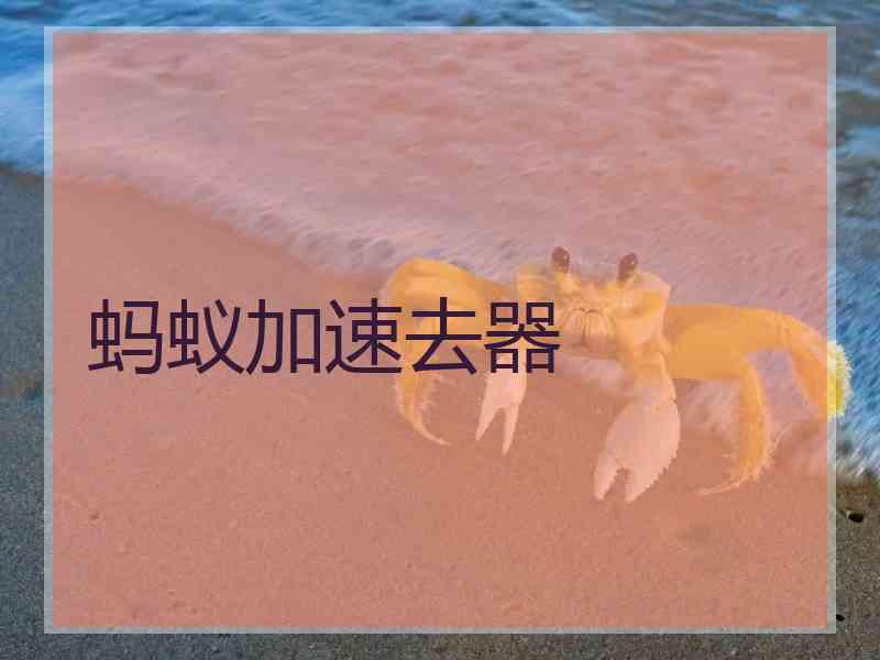 蚂蚁加速去器