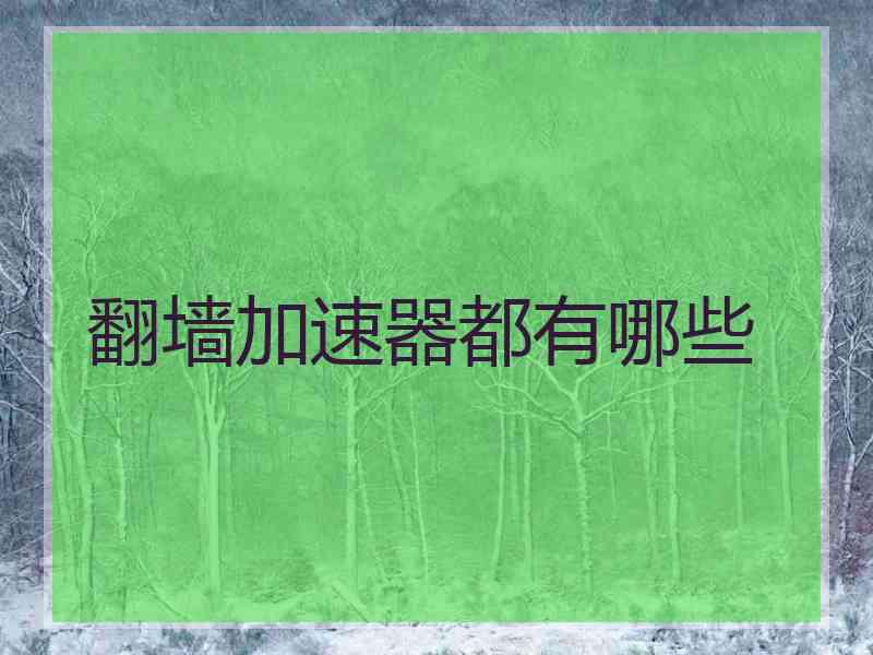 翻墙加速器都有哪些