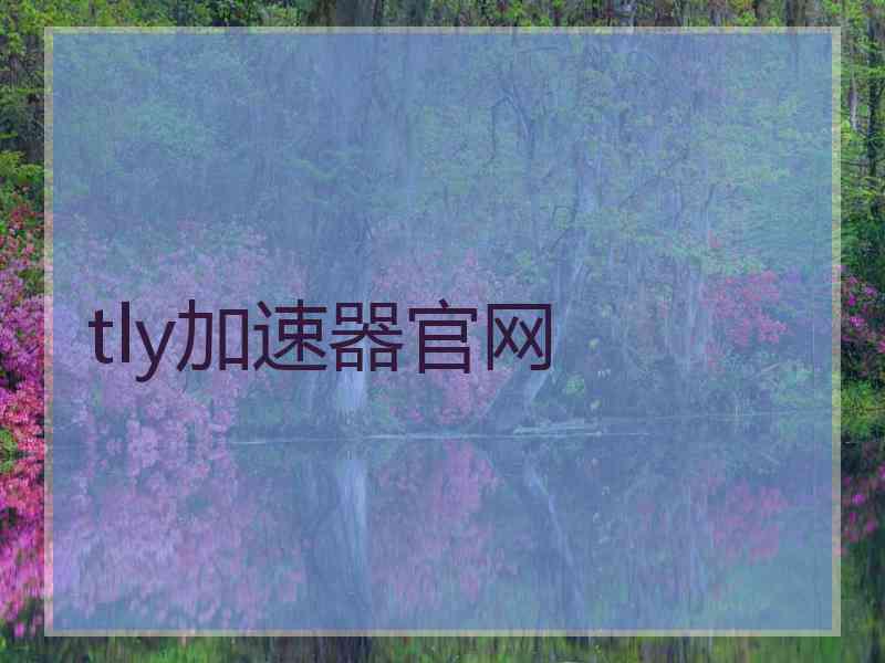 tly加速器官网