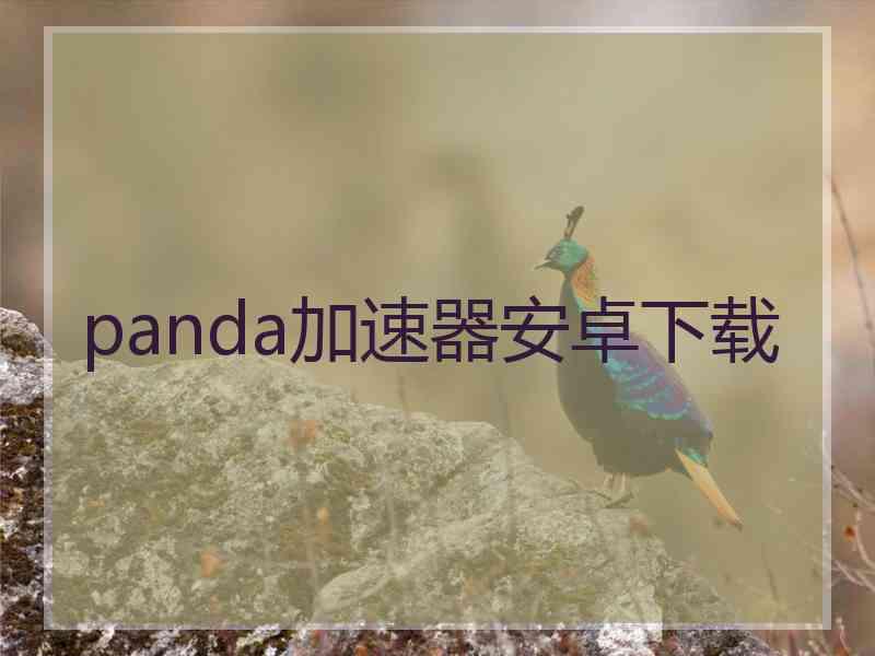 panda加速器安卓下载