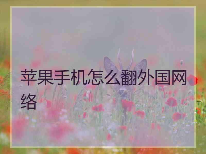 苹果手机怎么翻外国网络