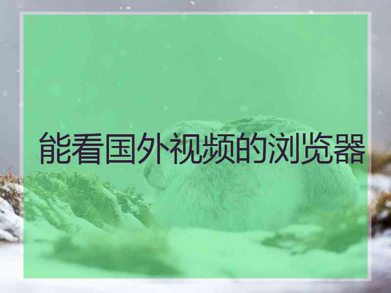 能看国外视频的浏览器