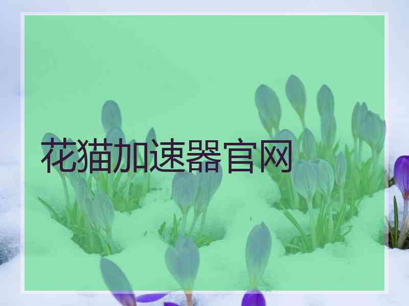 花猫加速器官网