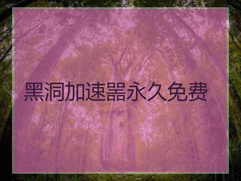 黑洞加速噐永久免费