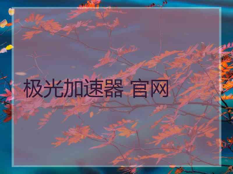 极光加速器 官网