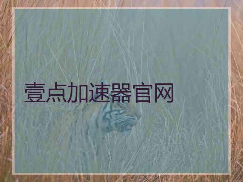 壹点加速器官网
