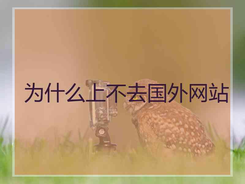 为什么上不去国外网站