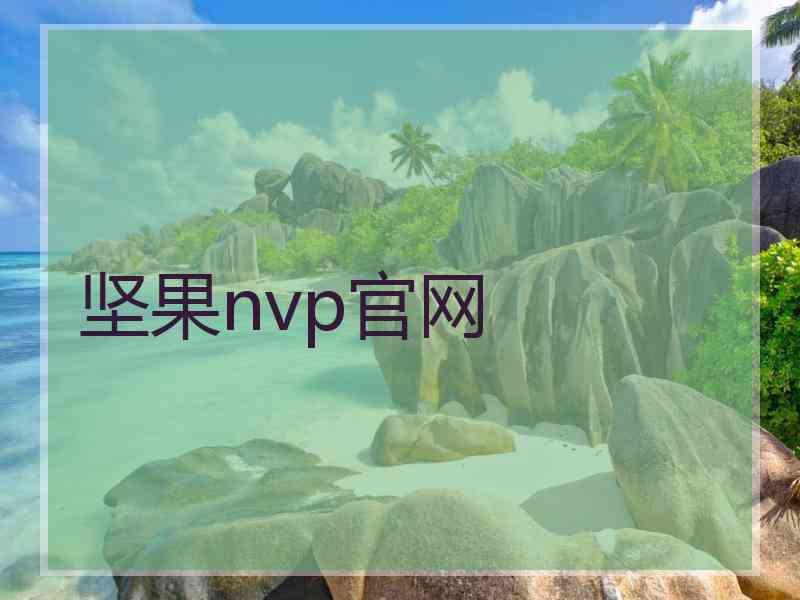 坚果nvp官网