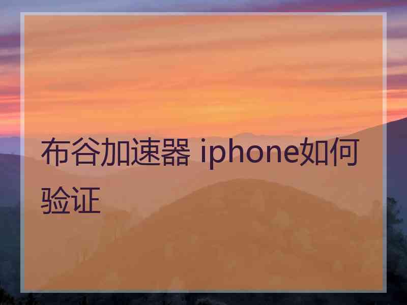 布谷加速器 iphone如何验证