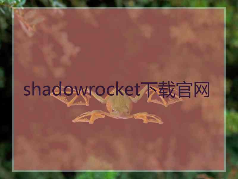 shadowrocket下载官网