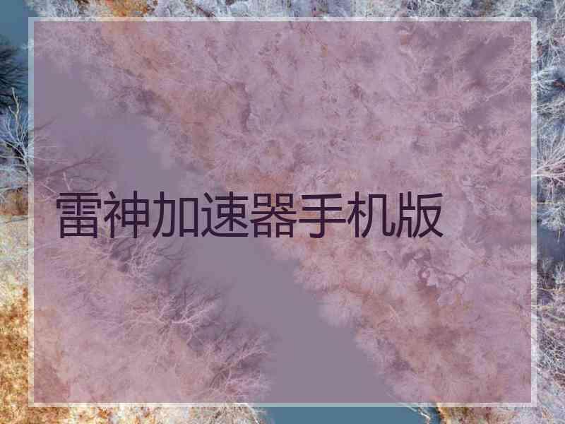 雷神加速器手机版