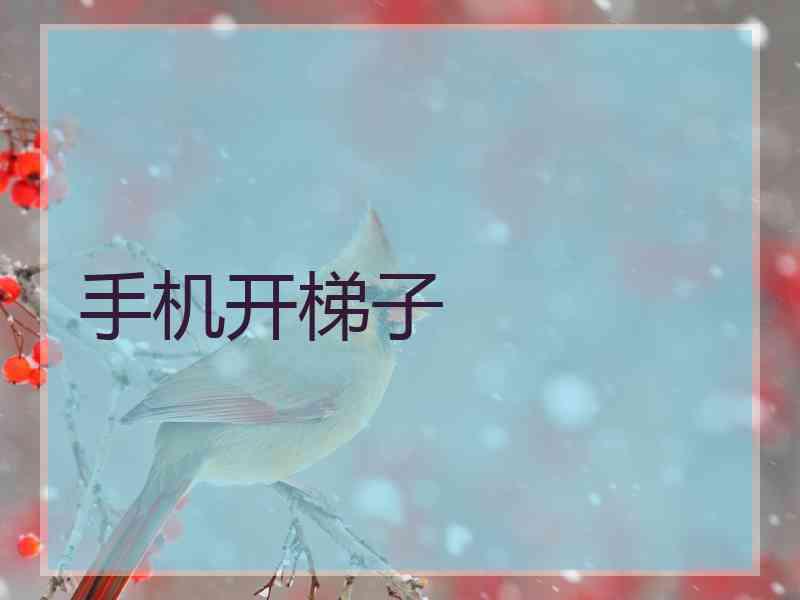 手机开梯子