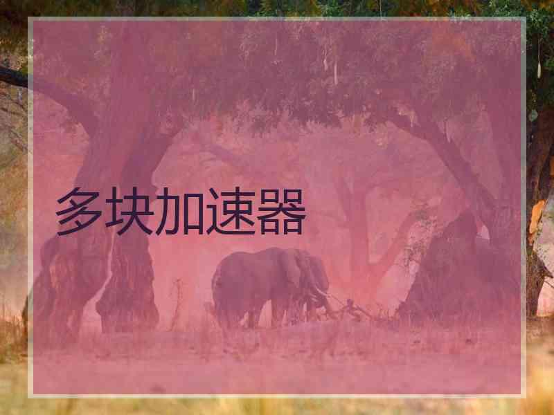 多块加速器