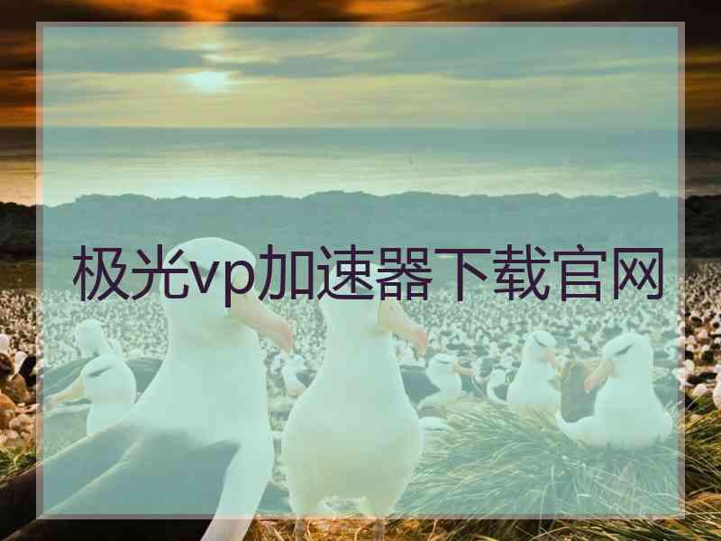 极光vp加速器下载官网