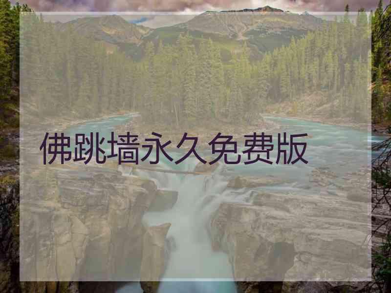 佛跳墙永久免费版