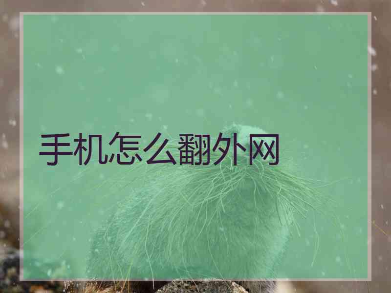 手机怎么翻外网