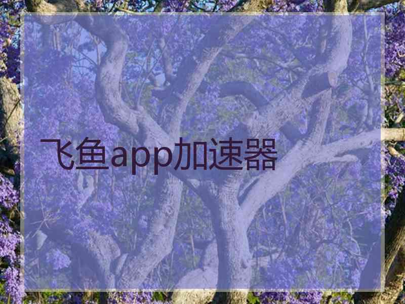 飞鱼app加速器