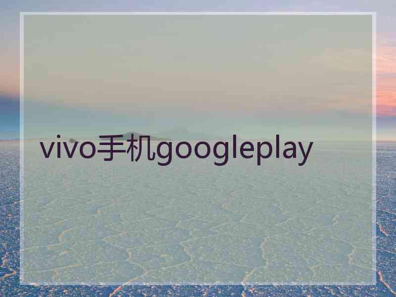 vivo手机googleplay