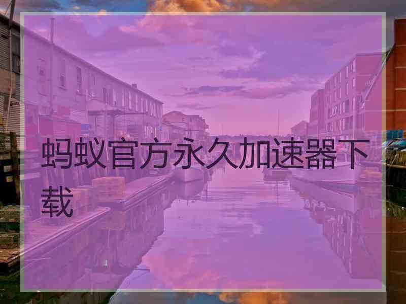 蚂蚁官方永久加速器下载