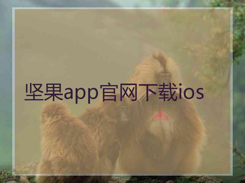 坚果app官网下载ios