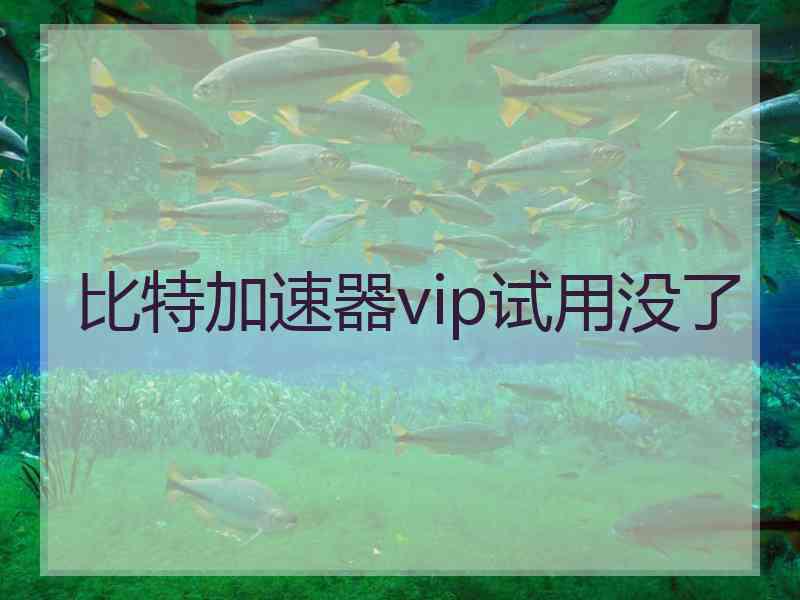 比特加速器vip试用没了