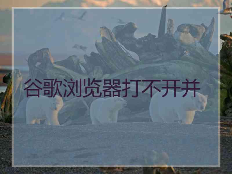 谷歌浏览器打不开并