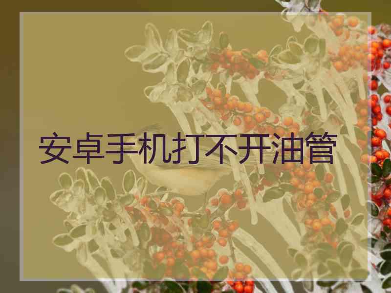 安卓手机打不开油管