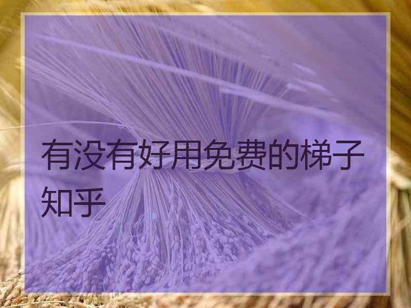 有没有好用免费的梯子 知乎