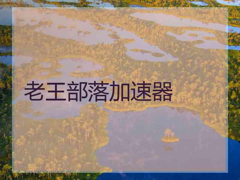 老王部落加速器