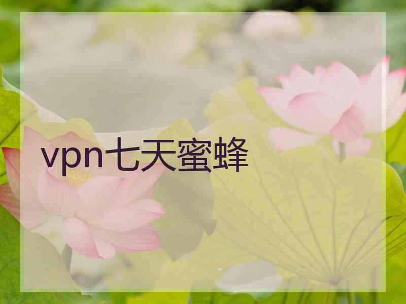 vpn七天蜜蜂