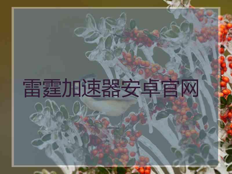 雷霆加速器安卓官网