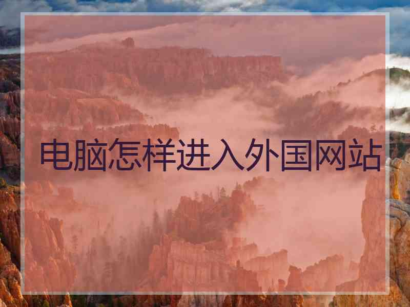 电脑怎样进入外国网站