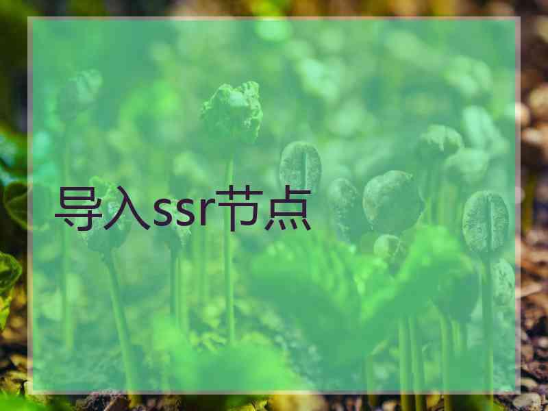导入ssr节点