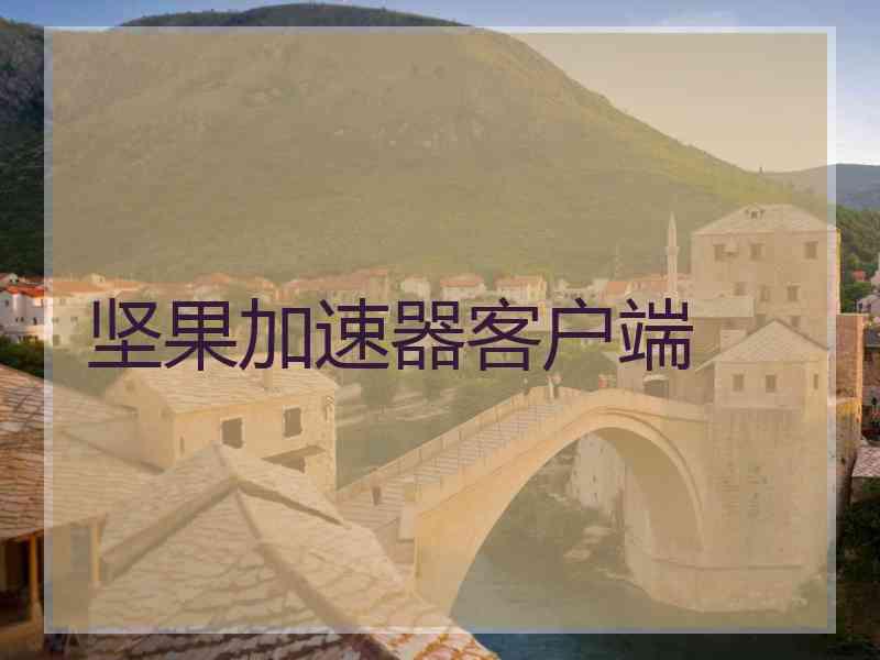 坚果加速器客户端