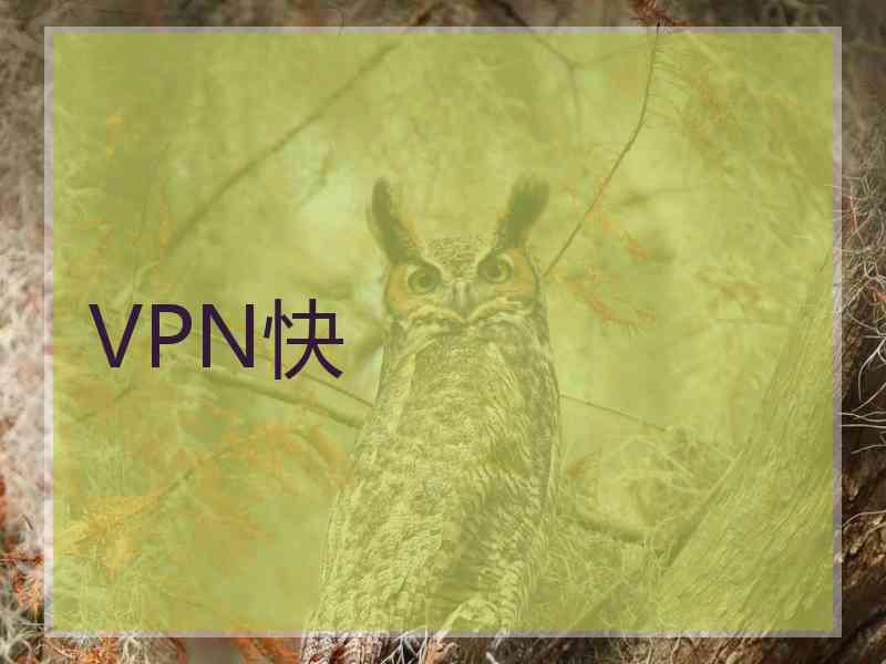VPN快